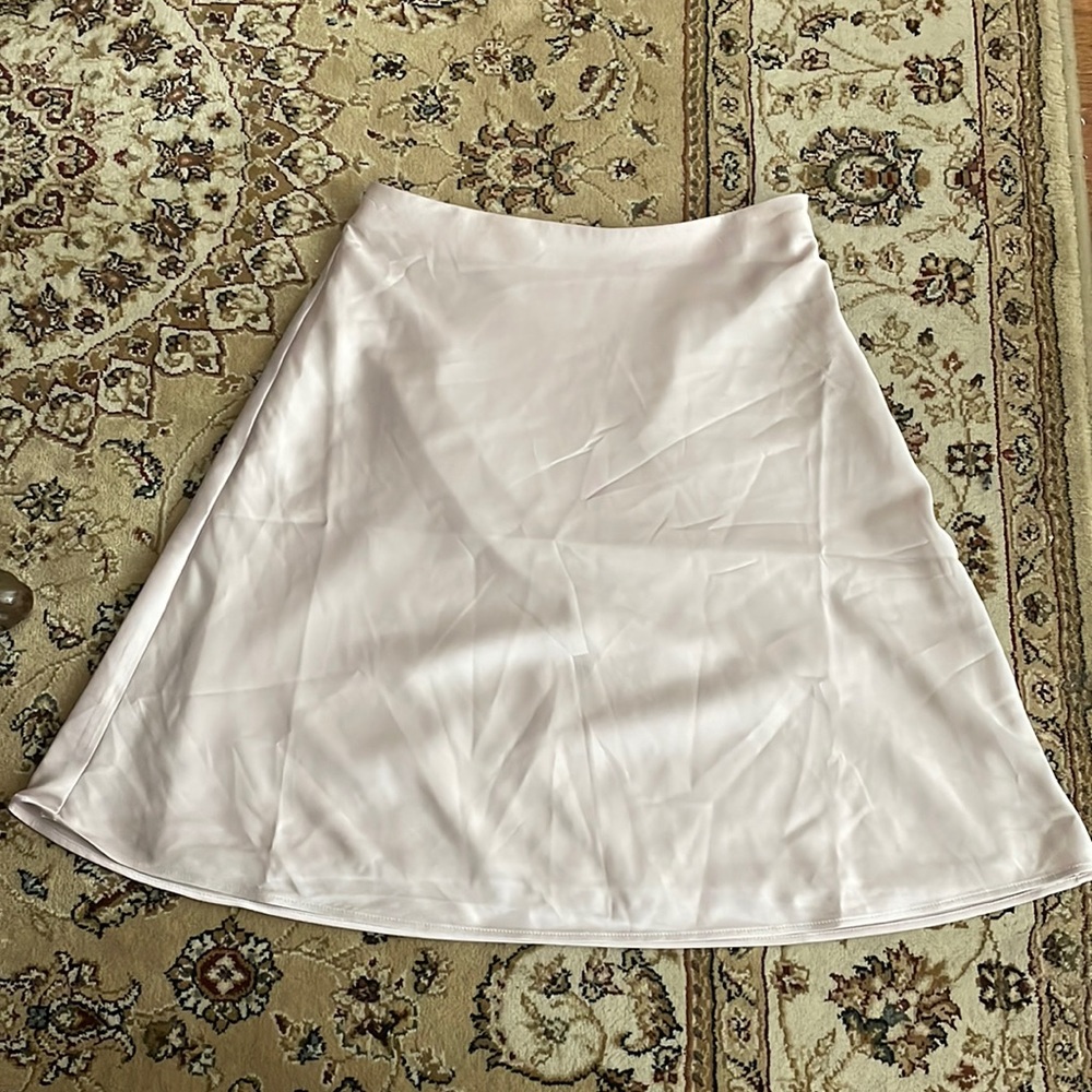 Express High Waisted Skirt